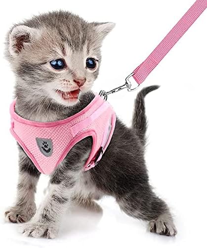 FEimaX Dog Harness and Leash Set for Walking, Soft Mesh Adjustable Easy Control Lightweight Cat Vest Harnesses with Reflective Strips, Escape Proof Small Dogs Cats Vests