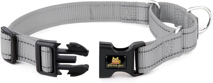 Plutus Pet Reflective Martingale Collar with Buckle - Durable and Adjustable Training Collar for No Pulling, Dog Choker Collar for Small Medium Large Dogs, Gray, XS