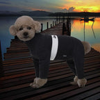Polar Fleece Dog Pajamas Bodysuit - Small to Medium Dogs, Winter Jacket & Sweater Vest, Four-Legged Warm Clothes in Dark Grey