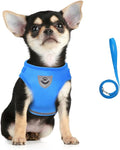 FEimaX Dog Harness and Leash Set for Walking, Soft Mesh Adjustable Easy Control Lightweight Cat Vest Harnesses with Reflective Strips, Escape Proof Small Dogs Cats Vests (Azure, Large)