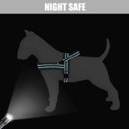 Didog Soft Flannel Padded Dog Vest Harness,Escape Proof/Quick Fit Reflective Dog Strap Harness, Easy for Training Walking(XS:Chest 15-18", Teal)