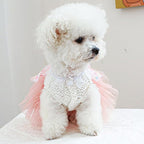 ANIAC Butterfly Dog Dress with Pink Tutu Funny Pet Clothes with Wing Girl Puppy Dress for Small Dogs Pet Butterfly Costume Holiday Cat Outfit for Halloween Birthday Wedding (Pink, Medium)