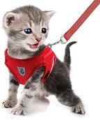 FEimaX Dog Harness and Leash Set for Walking, Soft Mesh Adjustable Easy Control Lightweight Cat Vest Harnesses with Reflective Strips, Escape Proof Small Dogs Cats Vests (Red, Small)