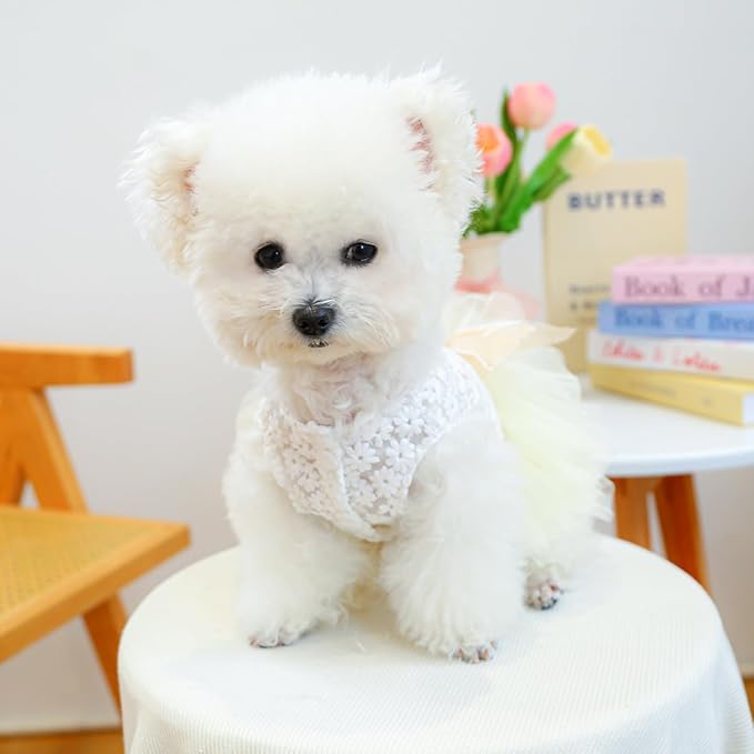 Furbabycare® Elegant Sweet Fashion Puppy Dog Blingbling Princess Skirt Pet Dog Lace Cake Camisole Tutu Dress J-White X-Small