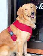 Puppia Soft Dog Harness, Wine, Large (PDCF-AC30-WN-L)