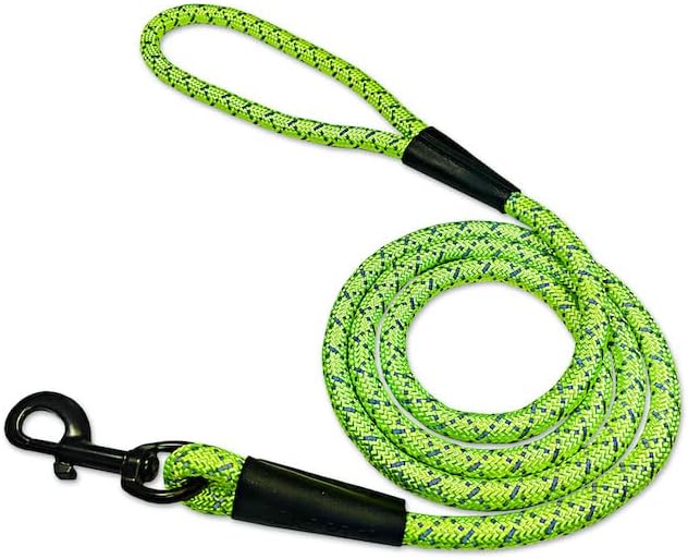 Noxgear LightHound (X-Large) + High-Visibility Dog Leash – Illuminated and Reflective Harness for Dogs Including Multicolored LED Fiber Optics (USB Rechargeable, Adjustable, Lightweight, Rainproof)