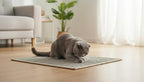 Premium Brazilian Cat Scratcher Mat – 24'' x 16'' Natural Fiber 100% Sisal with Jute Border, Ultra Durable, Scratching Pad, Doormat Rug, Protects Furniture and Carpets (Light Grey)