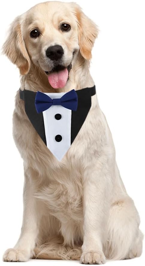 Dog Wedding Outfit, Tux Suit Dog Tuxedo Collars Bandana with Bow Tie for Small Medium Large Pet Dogs, Blue L
