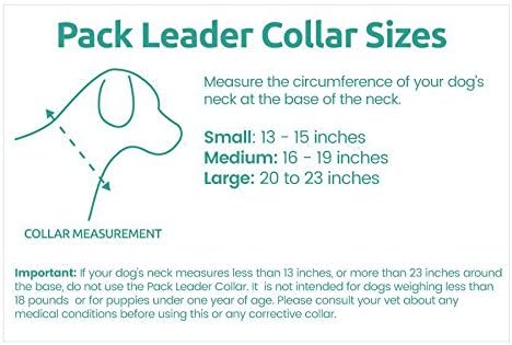 Cesar Millan Pack Leader Collar™ - Training Collar of The Dog Whisperer (Small, Grey) (Grey, M)