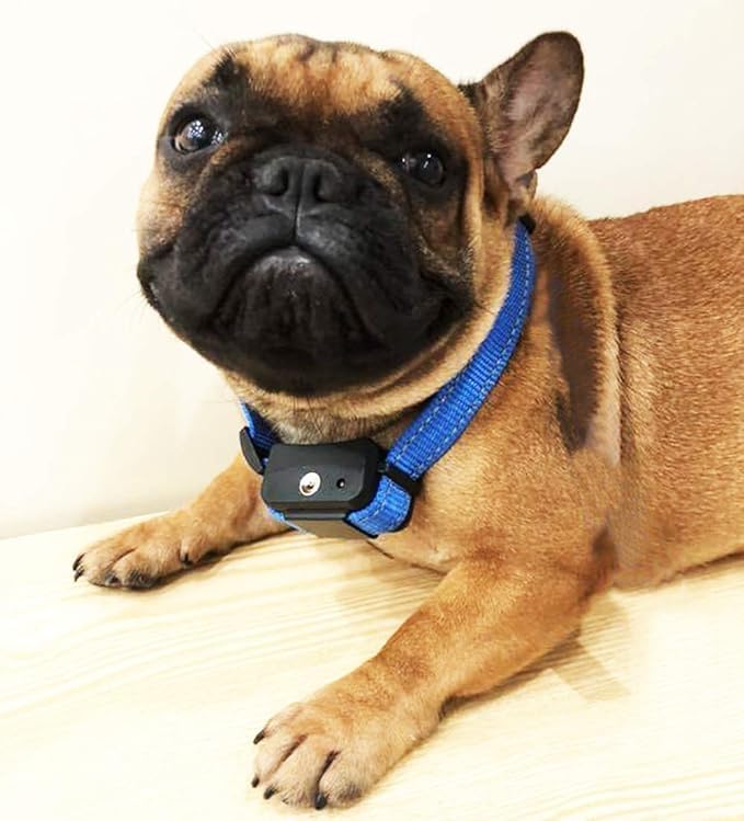 Citronella Dog Bark Collar,Anti Bark Spray Collar,Citronella Dog Bark Training Collar for Small Medium and Large Dogs