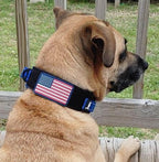 2-Inch Wide Tactical Dog Collar with Control Handle, Adjustable for Medium & Large Dogs, Military Style with Heavy-Duty Metal Buckle, USA Flag Patch & Customizable Name Plate, Training & Everyday Use