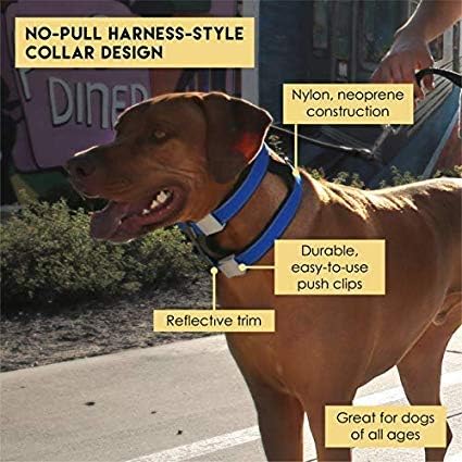 Cesar Millan Pack Leader Collar™ - Training Collar of The Dog Whisperer (Small, Grey) (Grey, M)