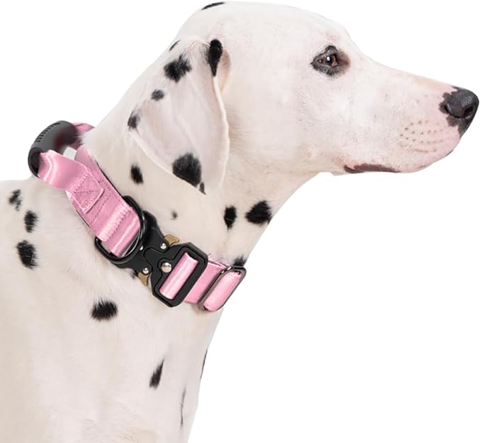 JSXD Tactical Dog Collar, 1.5 Inch Wide, Heavy Duty Military Training Collar with Handle, Metal Quick Release Buckle, 1000D Nylon, for Medium Large Dogs