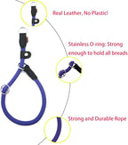 Braided Round Martingale Dog Collar, Training Collar with Slidable Stop Ring and Adjustable Stopper - Ideal for Large Dogs (L(1/2") - 20" Long, Purple)