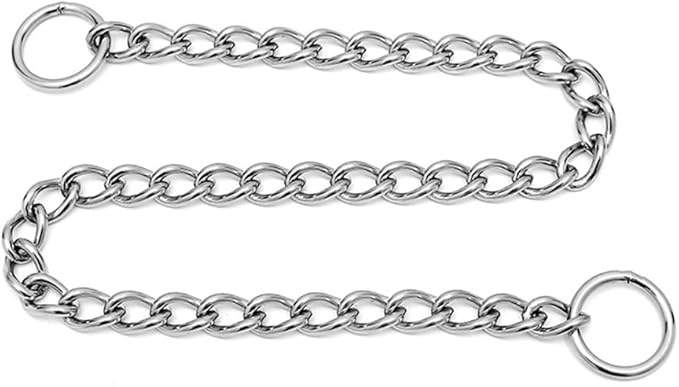 Slip P Training Chain Collar for Dogs, Stainless Steel Puppy Chains Link Durable Martingale Collars for XS Small Medium Large Breed Dog, Silver XXS