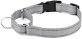 Plutus Pet Reflective Martingale Collar with Buckle - Durable and Adjustable Training Collar for No Pulling, Dog Choker Collar for Small Medium Large Dogs, Gray, S