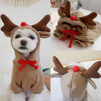 Warm Dog Winter Clothes Cute Fruit Dog Coat Hoodies Fleece Pet Dogs Costume Jacket for French Bulldog Chihuahua Ropa para Perro(Coffee,XL)