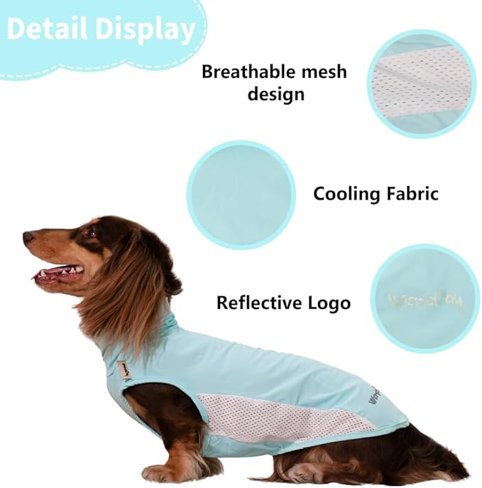 Dachshund Dog Cooling Vest, Breathable Summer Dog Cooling & Quick-Dry Shirt for Outdoor Activities,Mini Dachshund Lightweight Clothes, Vest Small Dogs (Blue, XS (4-7lbs))