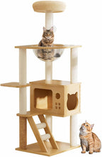 48.8" Cat Tree, Tall Wood Cat Scratching Post Tower for Indoor Cats with Sisal-Covered Scratching Posts, Top Perch & Acrylic Hammock, Modern Cat Condo for Small & Large Cats