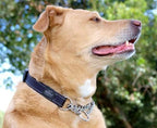 Reflective Nylon Choke Collar; Slip Show Obedience Training Gentle Choker for Extra Large Dogs, Green