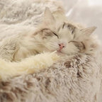 Cat Bed Round Fluffy Hooded Cat Bed Cave, Anti-Anxiety Cave Bed with Hooded Blanket, Cozy Cuddler Luxury Puppy Pet Bed, Anti-Slip Bottom and Machine Washable (Coffee, Large)