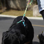 TSPRO Stainless Steel Heavy Duty Metal Dog Collar, Adjustable and Durable Pet Collar for Small Dogs, Ideal for Walking and Training (Rainbow-Colored, 3MM*13-15 inches)
