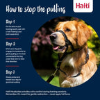 Halti Headcollar - Stop Your Dog Pulling on The Leash. Adjustable, Reflective and Lightweight, with Padded Nose Band. Dog Training Anti-Pull Collar for Small Dogs (Size 1, Cobalt Blue)