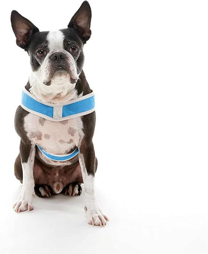 Gooby Simple Step in III Harness - Blue, Small - Small Dog Harness with Scratch Resistant Outer Vest - Soft Inner Mesh Harness for Small, Medium Dogs
