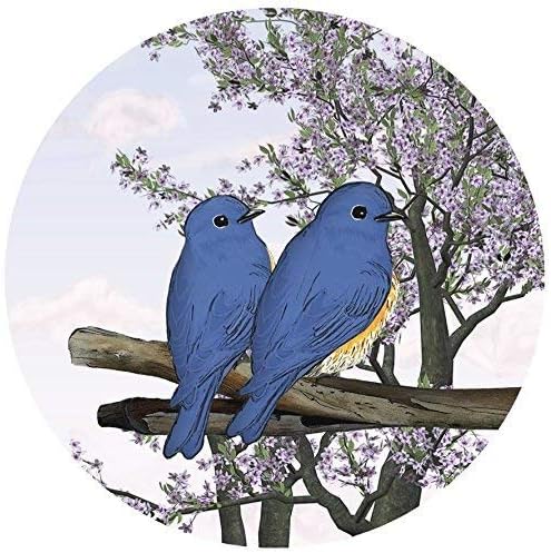 Screen Door Magnets Double Sided – Keep People, Kids, and Dogs from Running into a Screen Door. Saver - Robbins Aria Blue Birds