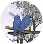 Screen Door Magnets Double Sided – Keep People, Kids, and Dogs from Running into a Screen Door. Saver - Robbins Aria Blue Birds