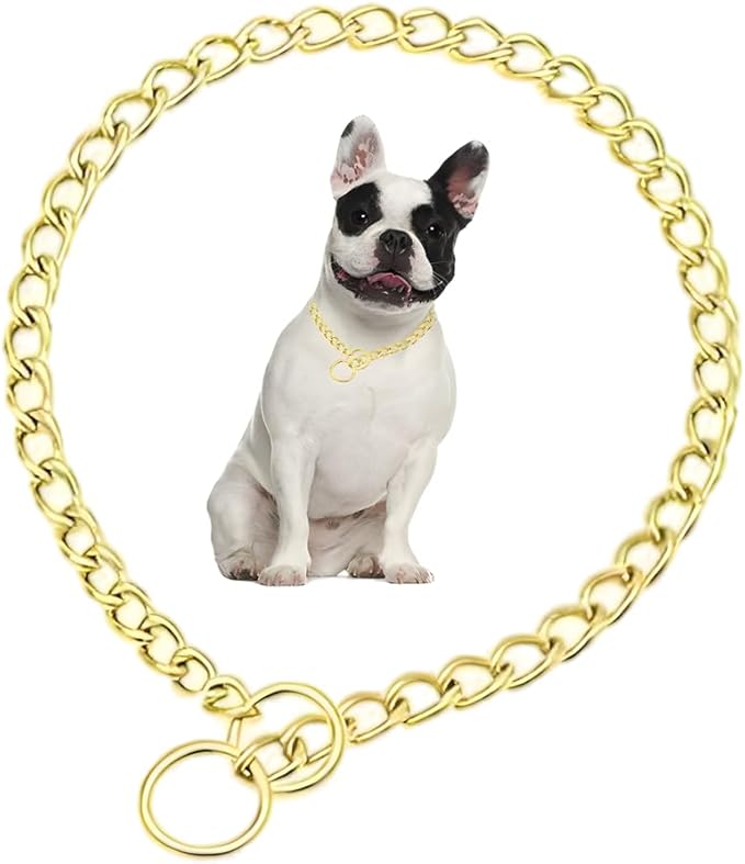 Gold Dog Choker Chain,Metal Slip Link Martingale Dog Collar Training Heavy Duty Male Boys Dog Chain Female Girls Puppy Collars for XXS XS Small Medium Large Big Breed,L