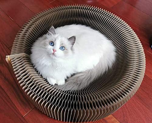 Cat Scratcher Lounge Bed - Collapsible Round Shape for Big cat