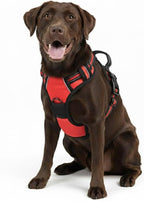 No Pull Dog Harness, Reflective Comfortable Vest Harness with Easy Control Handle Adjustable Soft Padded Pet Vest for Small to X-Large Dogs (Red, X-Large (Approx Weight:49.60-99.20 LB))