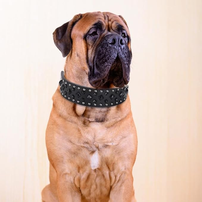 Premium Faux Leather Spiked Dog Collar with Square Studs: Stylish and Durable Design, Comfortable Fit for Small, Medium, & Large Dogs - Ideal for Everyday Walks, Training Black L