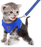 FEimaX Dog Harness and Leash Set for Walking, Soft Mesh Adjustable Easy Control Lightweight Cat Vest Harnesses with Reflective Strips, Escape Proof Small Dogs Cats Vests (Blue, Large)