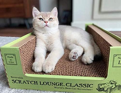 Scratch Lounge Cardboard Cat Scratcher - New Size - Lasts 10 Times Longer Than Other Conventional Scratchers - Large and Durable with Reversible Floor