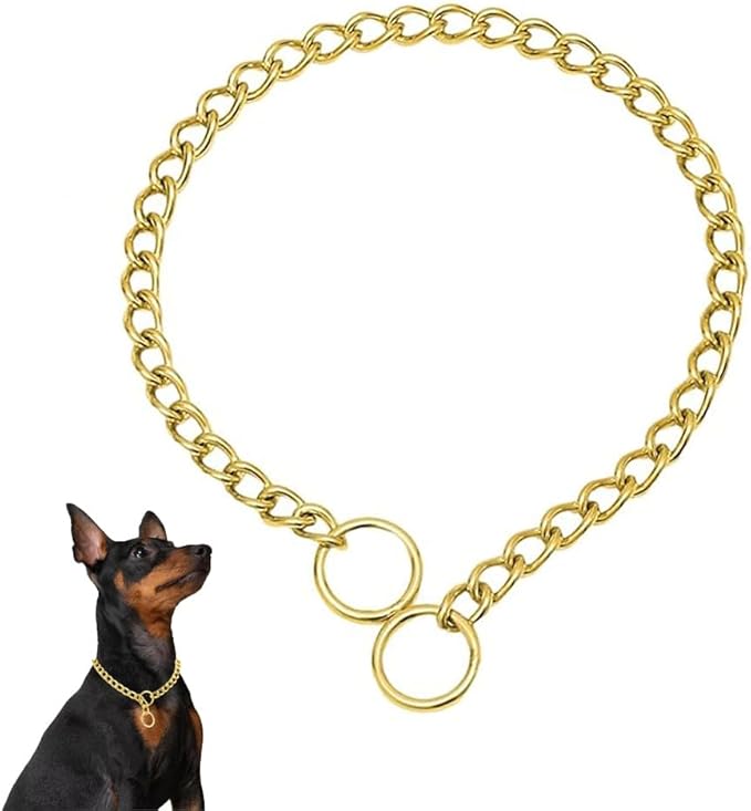 Gold Choke Chain for Dogs,Heavy Duty Training Choker Collar for Dogs Metal Slip P Link Martingale Collars Puppy Chain for XXS XS Small Medium Large Dog, XL
