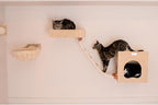 Wall Cat Tree - Condo & Perch - Solid Poplar Wood - 14" x 12" x 14"