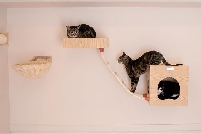 Wall Cat Tree - Condo & Perch - Solid Poplar Wood - 14" x 12" x 14"