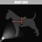 Didog Soft Flannel Padded Dog Vest Harness, No Pull/Quick Fit Reflective Dog Strap Harness, Easy for Training Walking (M:Chest 22-26", Orange)