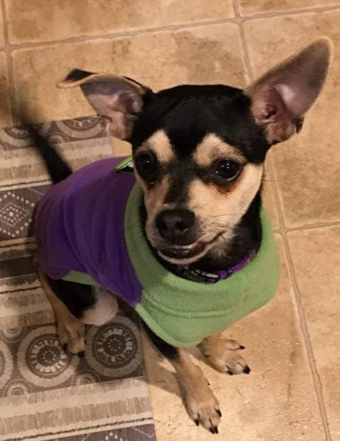 Gooby Half Stretch Fleece Vest Sweater - Purple, X-Large - Warm Pullover Jacket with D-Ring Leash - Winter Small Dog Coat - Cold Weather Clothes for Small Dogs Boy or Girl