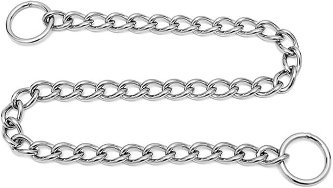 Silver Metal Dog Collar Slip P Chain Collar Stainless Steel Dogs Link Training Puppy Martingale Collars for XXS XS Small Medium Large Big XL Breed Dogs S