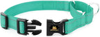 Plutus Pet Reflective Martingale Collar with Buckle - Durable and Adjustable Training Collar for No Pulling, Dog Choker Collar for Small Medium Large Dogs, Teal, S