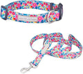 Lucky Love Dog - Adjustable Dog Collar and Leash Set with Easy Click Buckle for Small Dogs, Durable, & Comfortable Collar for Male & Female Dogs, Puppies & Adult Ones- Valentina Combo, XS