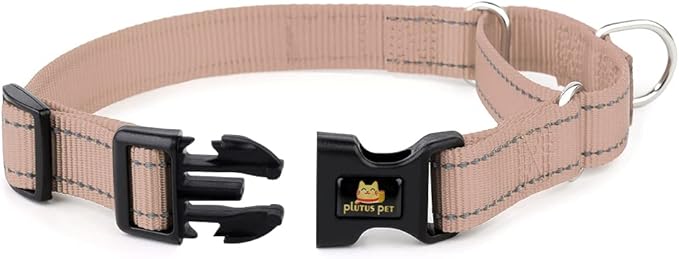 Plutus Pet Reflective Martingale Collar with Buckle - Durable and Adjustable Training Collar for No Pulling, Dog Choker Collar for Small Medium Large Dogs, Beige, L