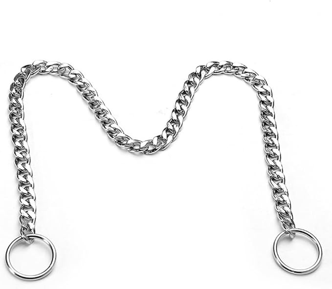 Metal Collar for Dogs Chain Link Training Collar P Slip Puppy Martingale Collars Necklace for Small Medium Large Big XL Breed Dogs Silver XL