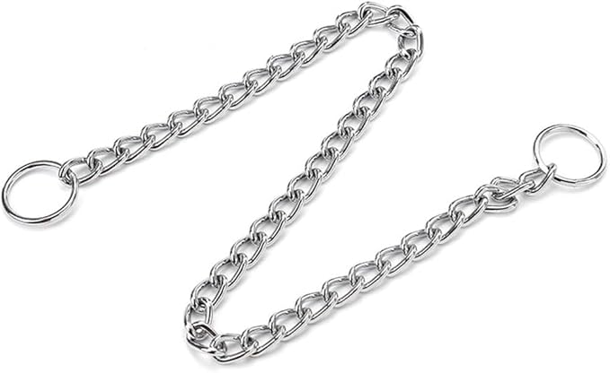 Chain Choke Collar for Dogs, Metal Slip Link Training Heavy Duty Dog Choker Collar Martingale Puppy Collars for XS Small Medium Large Big XL Breed Dogs (Silver, XS(Neck Max 12inch) D2.0mm)