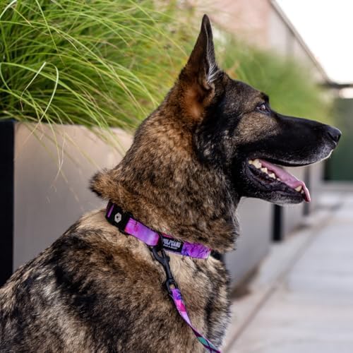 Wolfgang Heavy Duty, Adjustable Dog Collar with Quick Release Nylon Buckle for Walking & Training, Daydream Print, Large