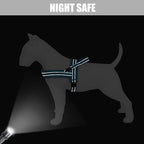 Didog Soft Flannel Padded Dog Vest Harness, No Pull/Quick Fit Reflective Dog Strap Harness, Easy for Training Walking (S:Chest 18-22", Blue)