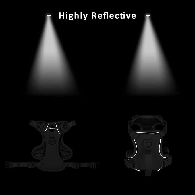 Petmolico Dog Harness for Small Dogs, Cute Harness Vest with Two Leash Clips and Soft Handle, Reflective Easy Walk Puppy Vest - Black Lotus, Small